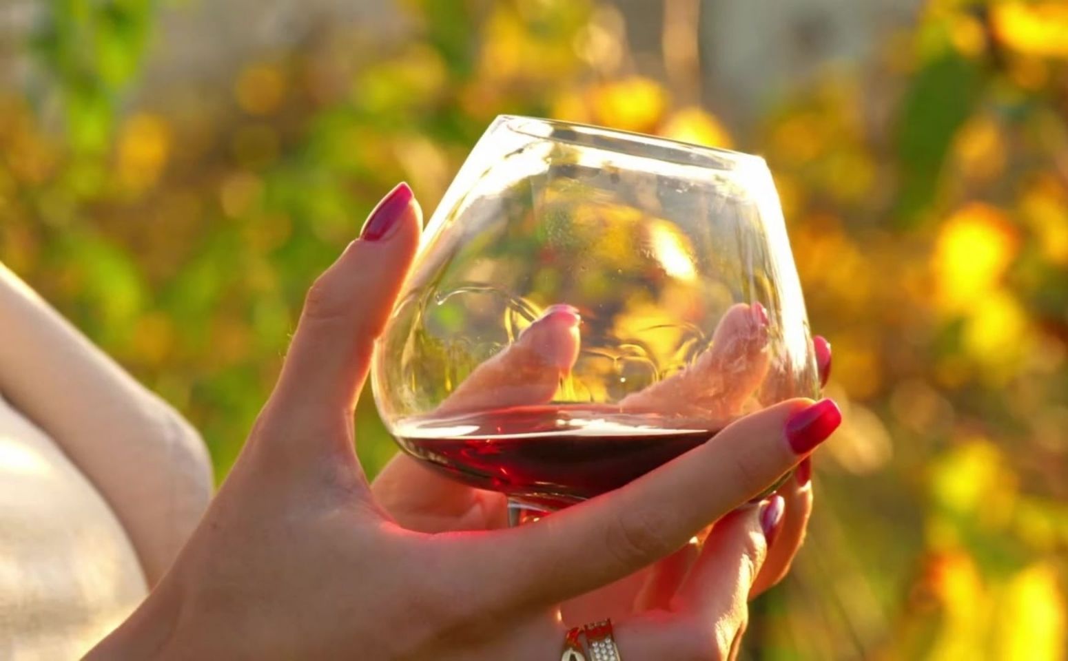 EQUILO No.2 – Hand holding the Equilo wine glass in the sunlight – a moment of calm, taste, and elegance.