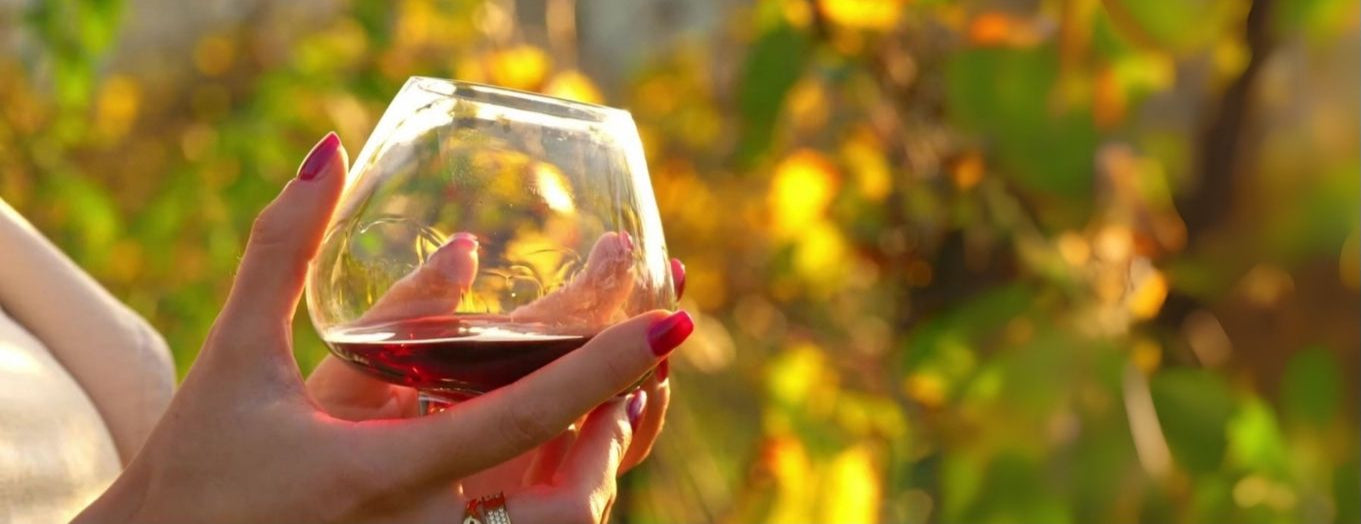 EQUILO No.2 – Hand holding the Equilo wine glass in the sunlight – a moment of calm, taste, and elegance.